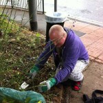 Bluebell weeding